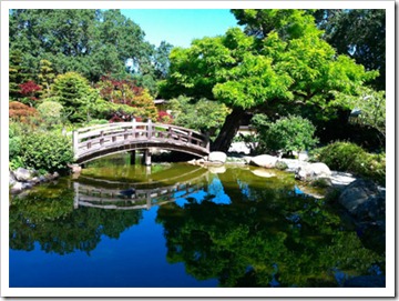 camera-gallery6-20100607